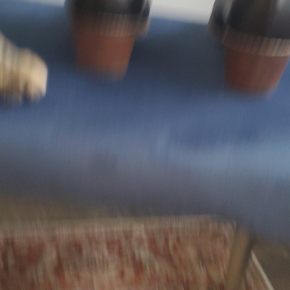 Booties - Picture 5 of 5